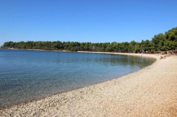 Apartman Val 1 Novigrad Istria Exteriör bild